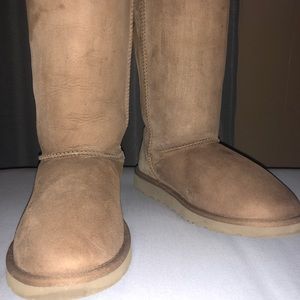 Authentic UGG Tall Classic